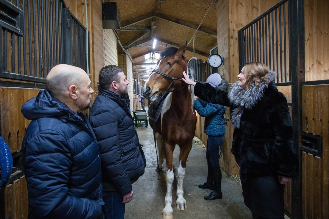Фото Спасённым с бойни лошадям в нижегородском приюте привезли лакомство из ёлок 2