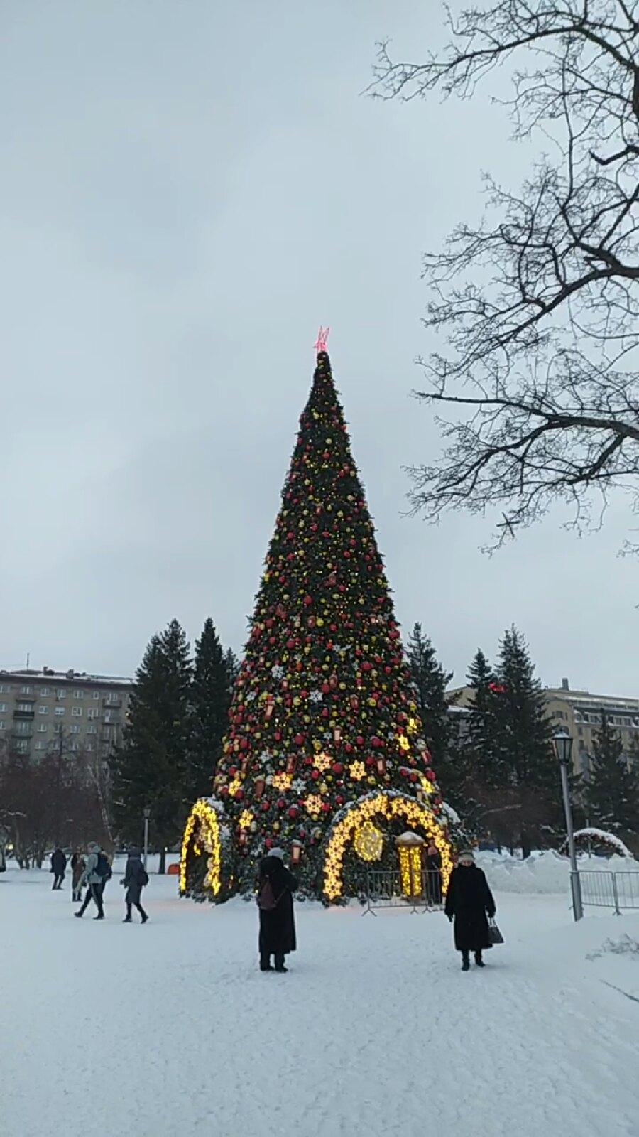 Фото В Новосибирске новогоднюю ёлку на площади Ленина не могут убрать уже четыре дня 2