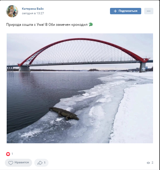 Фото Крокодила и бегемота заметили на берегу Оби в Новосибирске 2