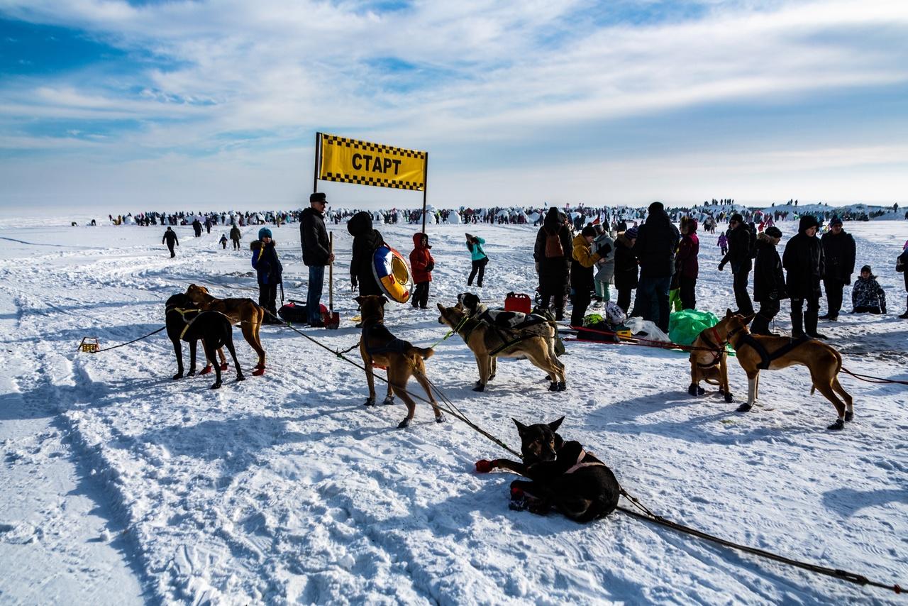 Фото В Новосибирске завершился первый день фестиваля «Иглу 2023 — город эскимосов» 15