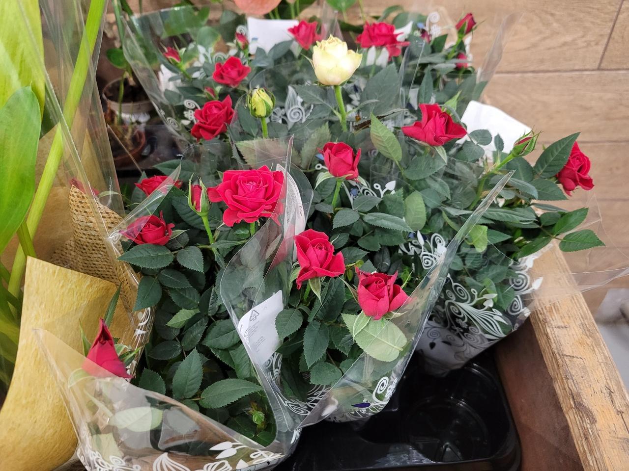 Фото «Тюльпаны расхватали»: в Новосибирске в День Святого Валентина разбирают дешёвые букеты 4