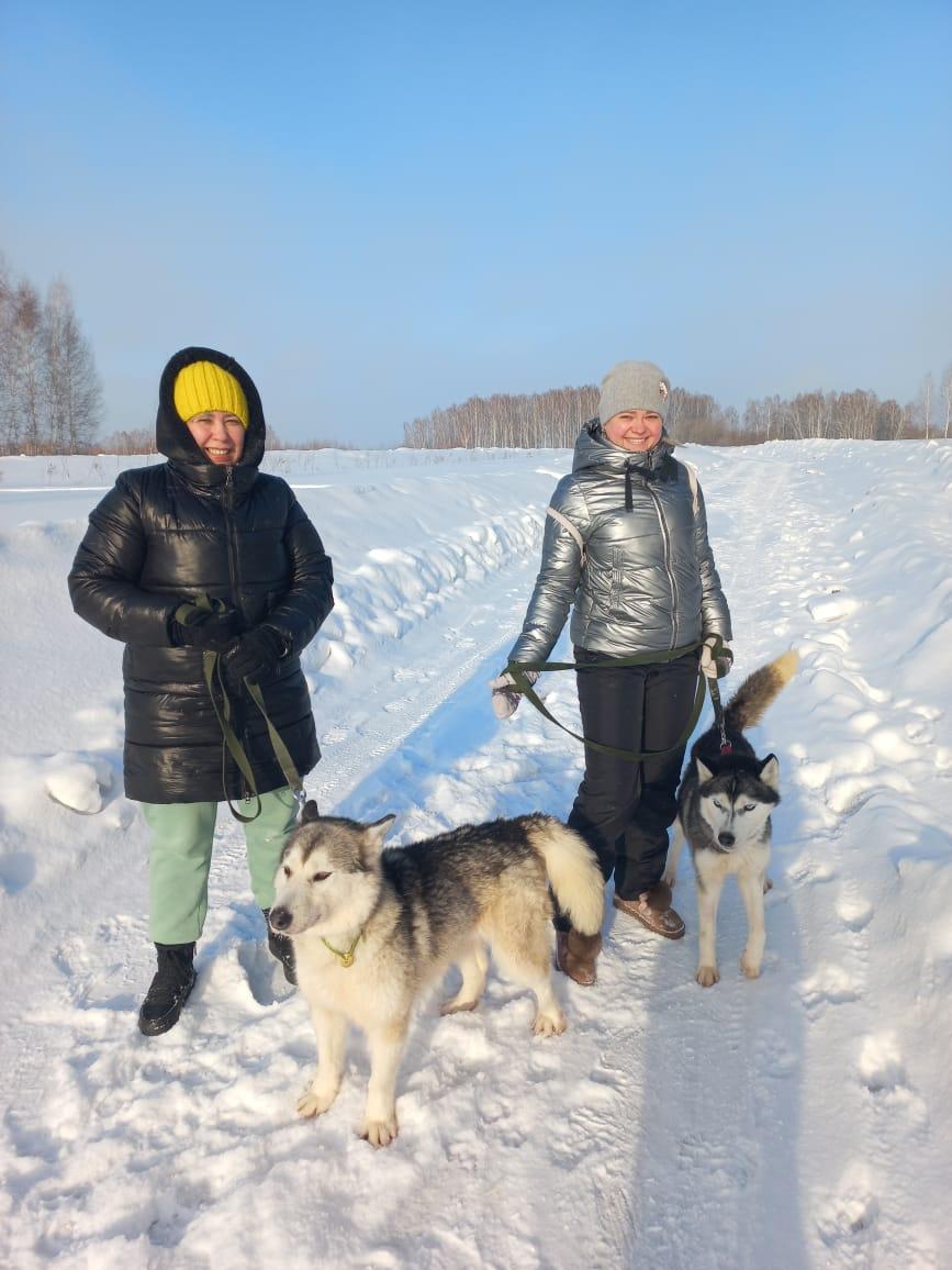 Фото Сотрудники Банка Уралсиб в Новосибирске посетили приют для  собак «Help_husky_nsk» 2