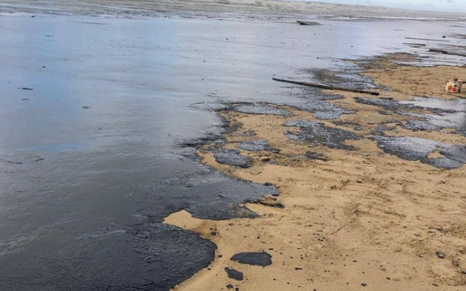 Фото «Берег усеян птицами в мазуте». Сибирячка Любовь Томирис рассказала, как помогает пострадавшим пернатым в Апане 4 - Сиб.ФМ Фото «Берег усеян птицами в мазуте». Сибирячка Любовь Томирис рассказала, как помогает пострадавшим пернатым в Апане 4