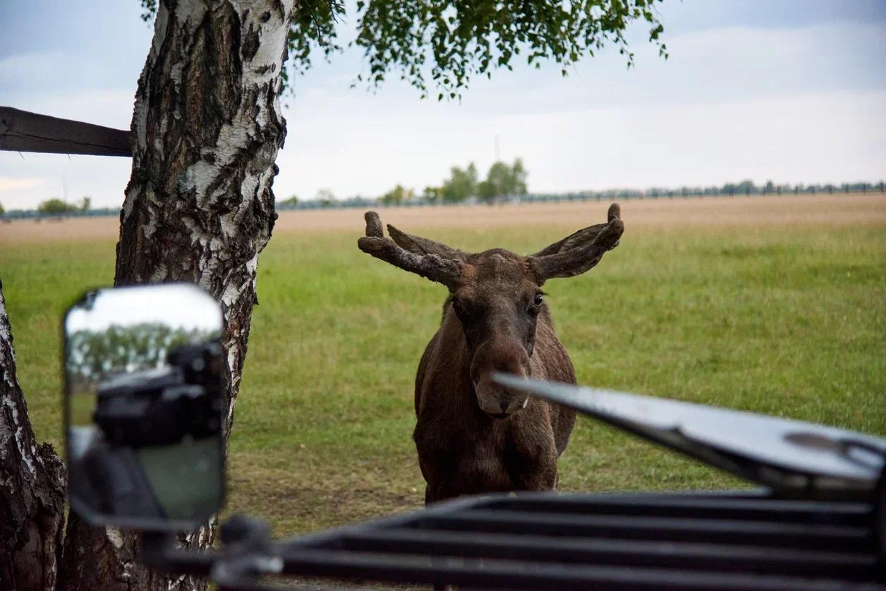 Фото Крупнейшая в Сибири выставка товаров для активного отдыха пройдет в Новосибирске 3 - Сиб.ФМ Фото Крупнейшая в Сибири выставка товаров для активного отдыха пройдет в Новосибирске 3
