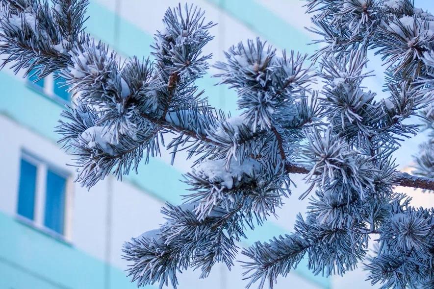 Фото Опубликованы фотографии заснеженного Новосибирска ко Дню ухода зимы в России 28 февраля 11 - Сиб.ФМ Фото Опубликованы фотографии заснеженного Новосибирска ко Дню ухода зимы в России 28 февраля 11