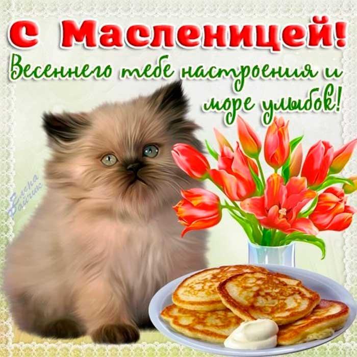 Фото Масленица-2025: красивые картинки и открытки к празднику 10 - Сиб.ФМ Фото Масленица-2025: красивые картинки и открытки к празднику 10