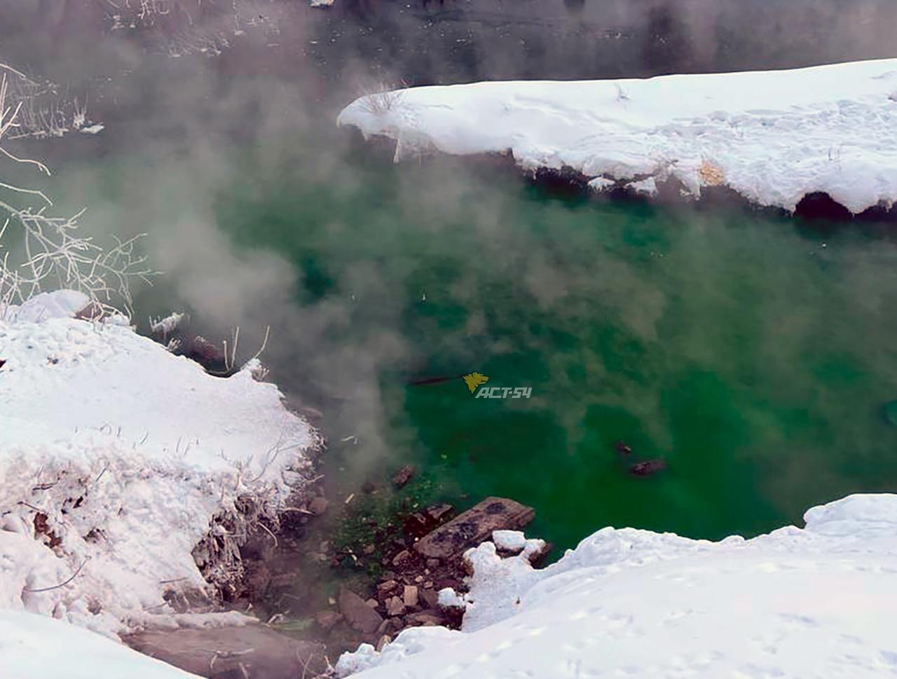 Фото Жителей Октябрьского района Новосибирска напугал цвет воды в речке 2 - Сиб.ФМ Фото Жителей Октябрьского района Новосибирска напугал цвет воды в речке 2