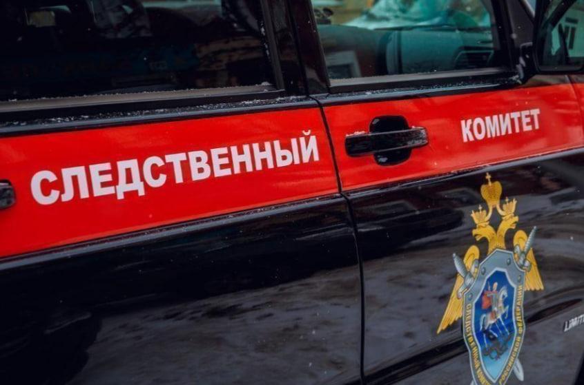 Фото Собаки-убийцы и смертельное ДТП: главные новости Новосибирской области за 3 февраля 2 - Сиб.ФМ Фото Собаки-убийцы и смертельное ДТП: главные новости Новосибирской области за 3 февраля 2