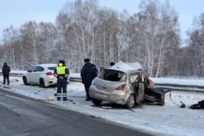 Фото Собаки-убийцы и смертельное ДТП: главные новости Новосибирской области за 3 февраля 3 - Сиб.ФМ Фото Собаки-убийцы и смертельное ДТП: главные новости Новосибирской области за 3 февраля 3