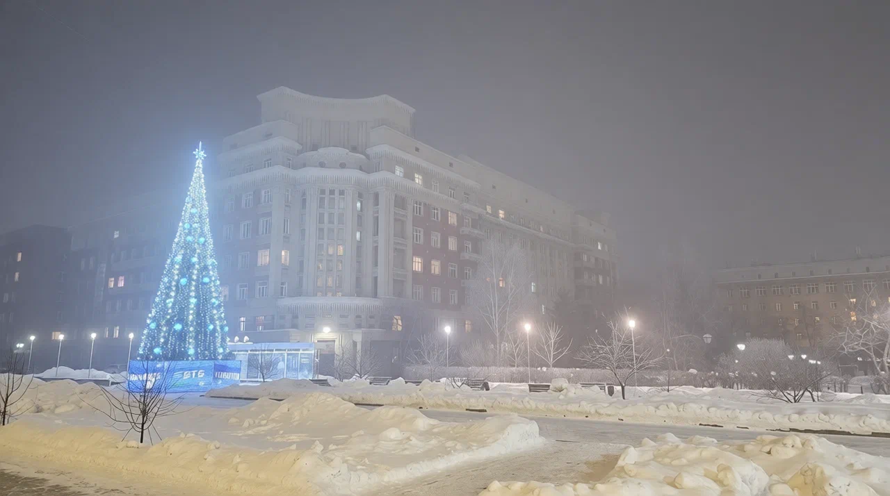 Фото Опубликованы кадры самой аномальной зимы в Новосибирске 2
