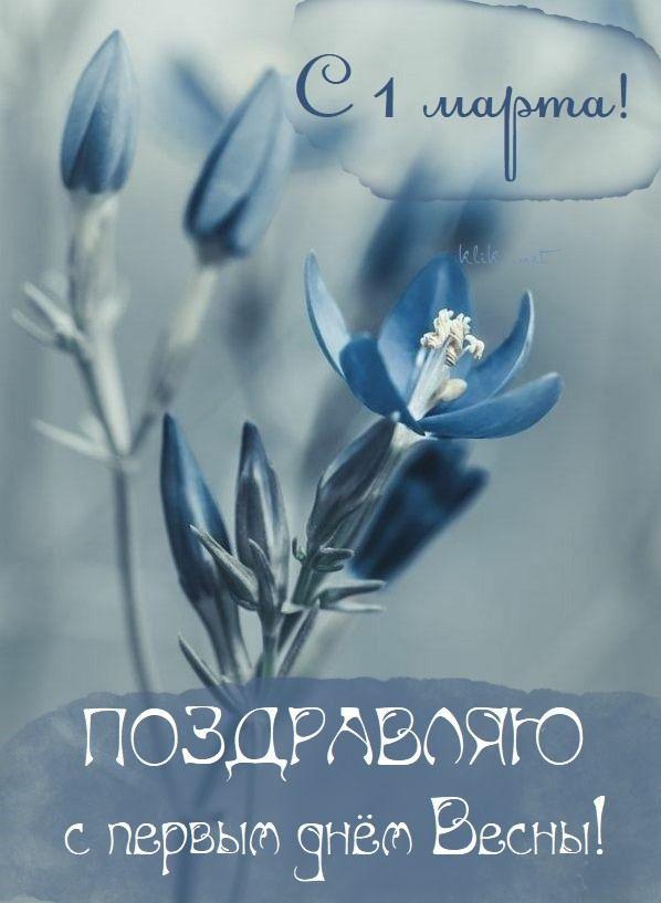Фото Первый день весны: картинки и открытки к 1 марта 8