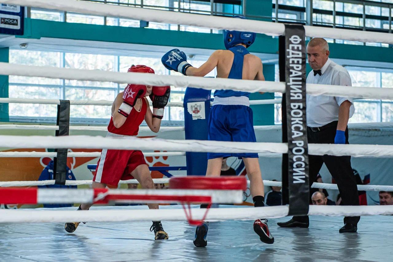 Фото Шум трибун и триумф победителей: в Новосибирске завершились финальные бои первенства по боксу. ФОТОРЕПОРТАЖ 2