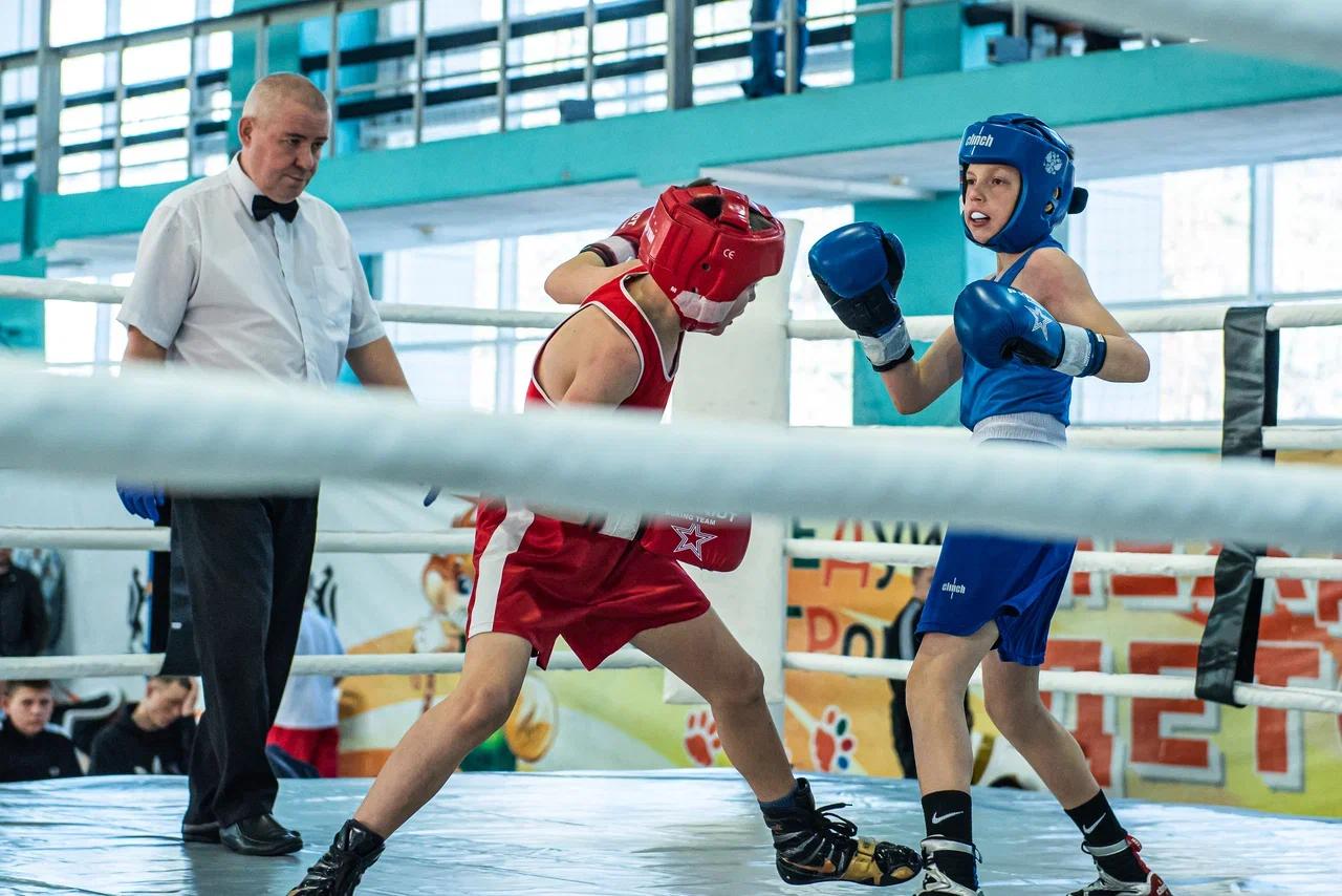 Фото Шум трибун и триумф победителей: в Новосибирске завершились финальные бои первенства по боксу. ФОТОРЕПОРТАЖ 6