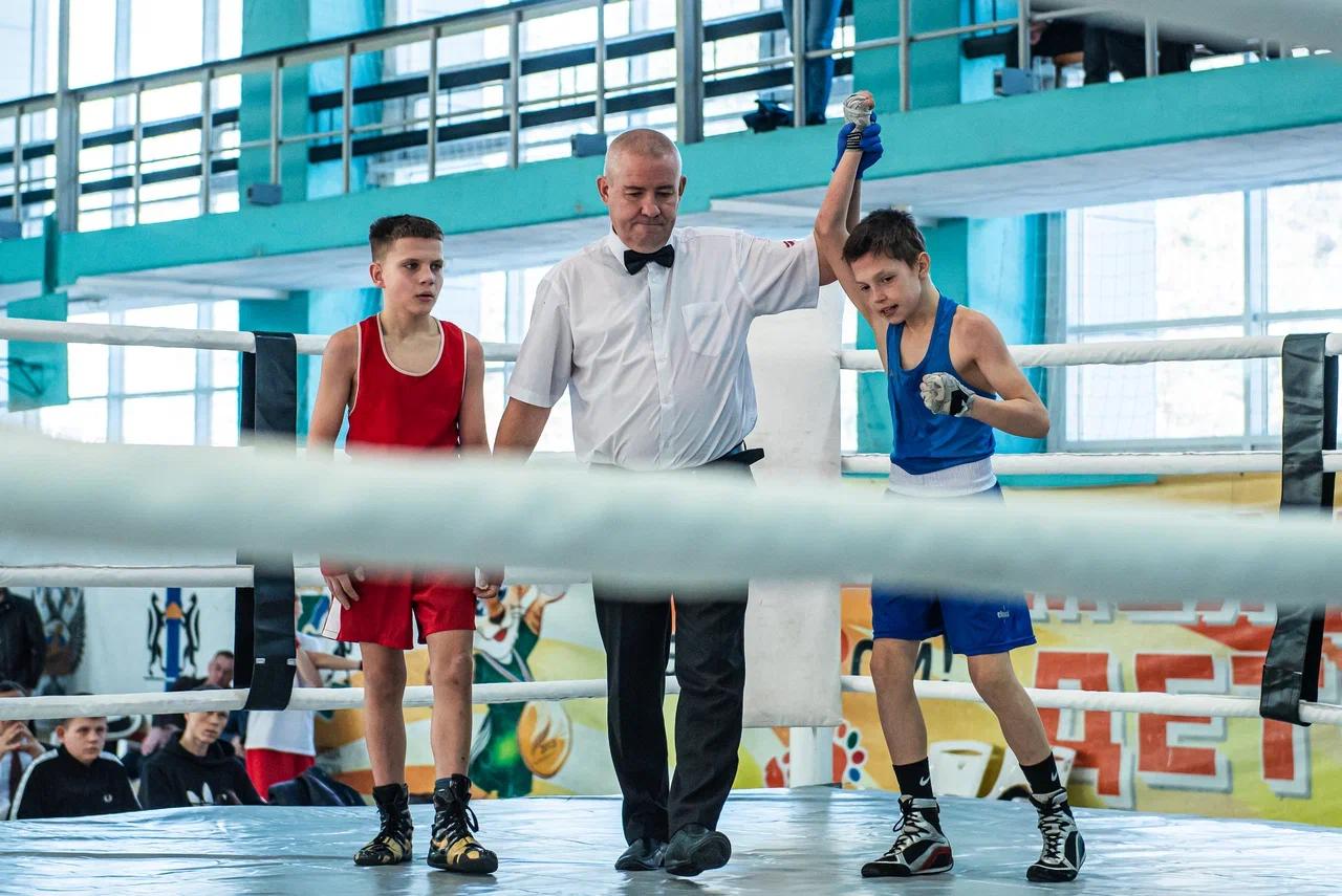 Фото Шум трибун и триумф победителей: в Новосибирске завершились финальные бои первенства по боксу. ФОТОРЕПОРТАЖ 7