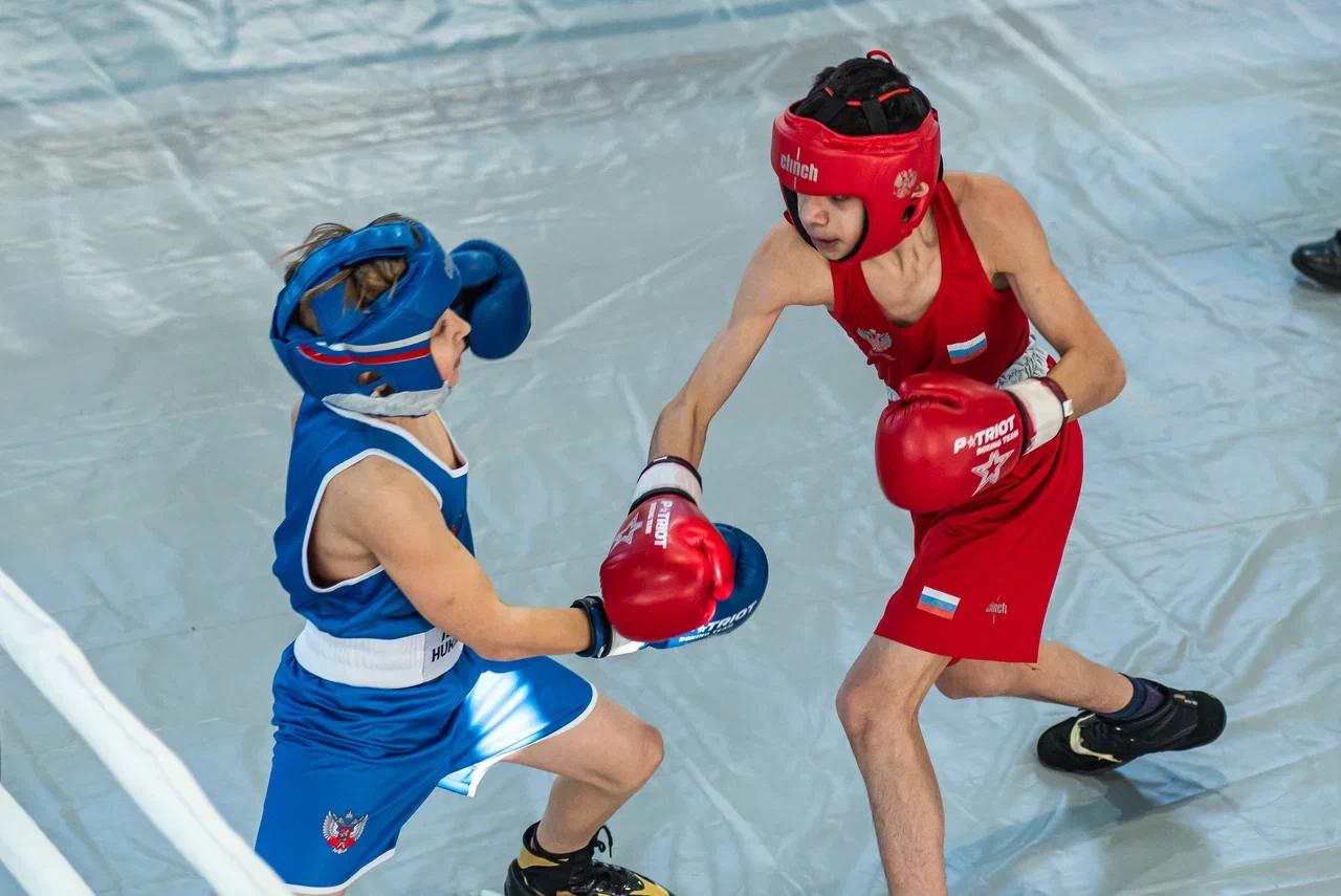 Фото Шум трибун и триумф победителей: в Новосибирске завершились финальные бои первенства по боксу. ФОТОРЕПОРТАЖ 16