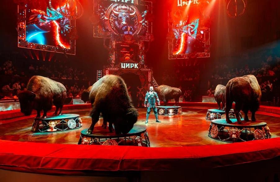 Фото В Новосибирском цирке с триумфом прошла премьера шоу Гии Эрадзе «5 континентов»! 2 - Сиб.ФМ Фото В Новосибирском цирке с триумфом прошла премьера шоу Гии Эрадзе «5 континентов»! 2