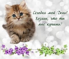 Фото С Днем кошек: открытки и картинки к 1 марта 2 - Сиб.ФМ Фото С Днем кошек: открытки и картинки к 1 марта 2