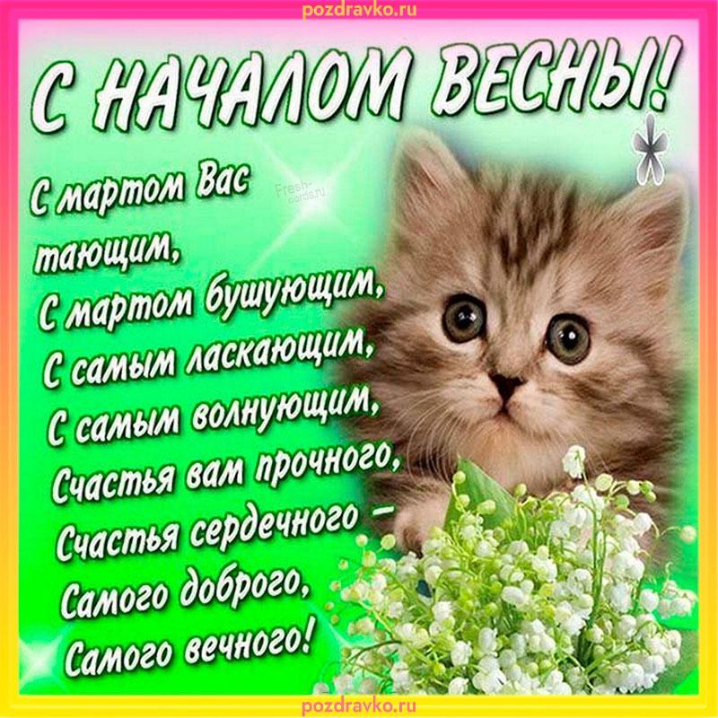 Фото С Днем кошек: открытки и картинки к 1 марта 5 - Сиб.ФМ Фото С Днем кошек: открытки и картинки к 1 марта 5