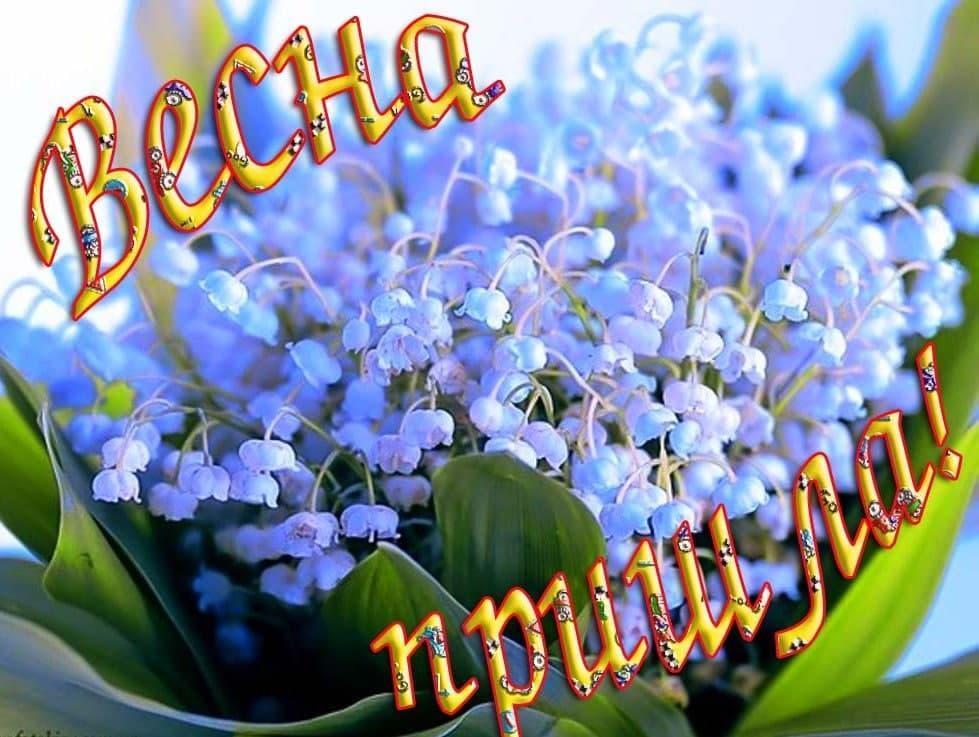 Фото Первый день весны: картинки и открытки к 1 марта 4