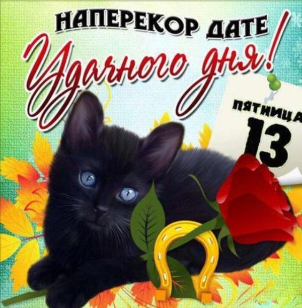 Фото «Чёрный кот и сгоревший тост»: Сиб.фм собрал самые необычные открытки к пятнице 13-го в Новосибирске 4