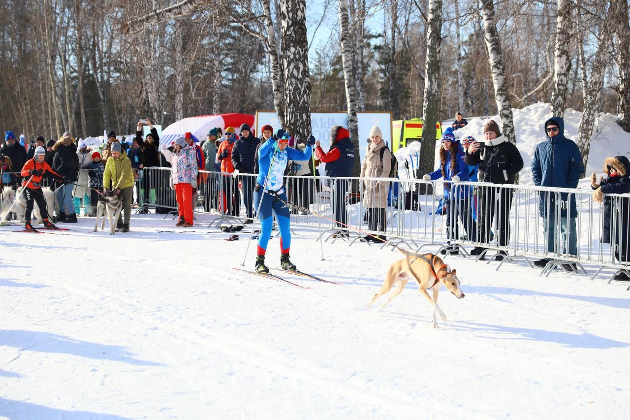 Фото В Новосибирске прошла «Лыжня России-2026»: яркие и эмоциональные кадры спортивного праздника 11 - Сиб.ФМ Фото В Новосибирске прошла «Лыжня России-2026»: яркие и эмоциональные кадры спортивного праздника 11