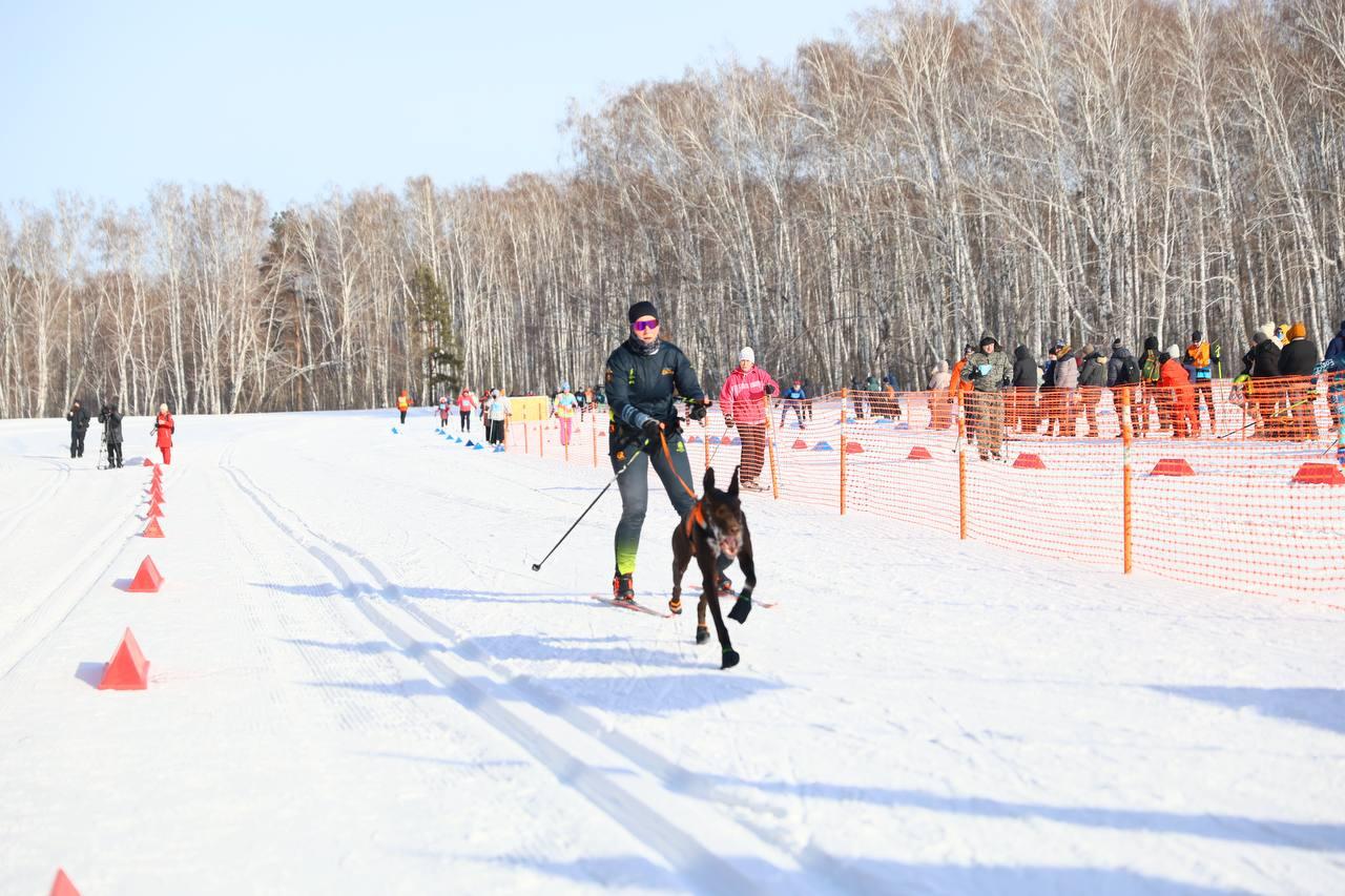 Фото В Новосибирске прошла «Лыжня России-2026»: яркие и эмоциональные кадры спортивного праздника 14 - Сиб.ФМ Фото В Новосибирске прошла «Лыжня России-2026»: яркие и эмоциональные кадры спортивного праздника 14