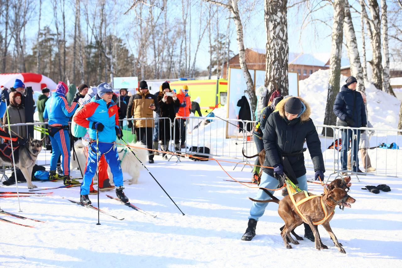 Фото В Новосибирске прошла «Лыжня России-2026»: яркие и эмоциональные кадры спортивного праздника 23 - Сиб.ФМ Фото В Новосибирске прошла «Лыжня России-2026»: яркие и эмоциональные кадры спортивного праздника 23