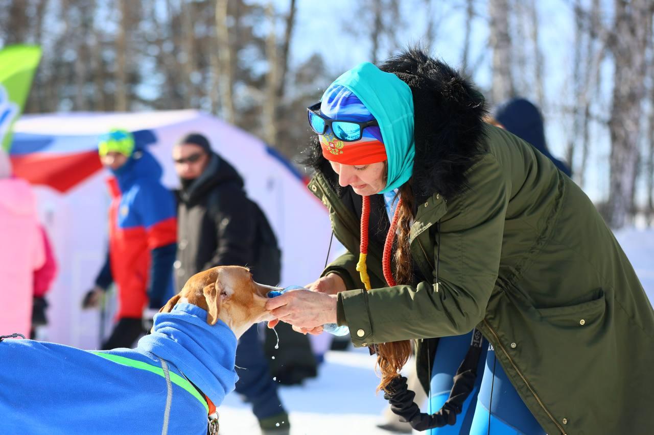 Фото В Новосибирске прошла «Лыжня России-2026»: яркие и эмоциональные кадры спортивного праздника 35 - Сиб.ФМ Фото В Новосибирске прошла «Лыжня России-2026»: яркие и эмоциональные кадры спортивного праздника 35