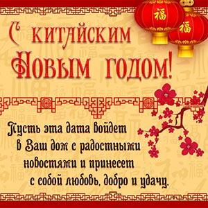 Фото С китайским Новым годом: картинки и открытки к празднику 7