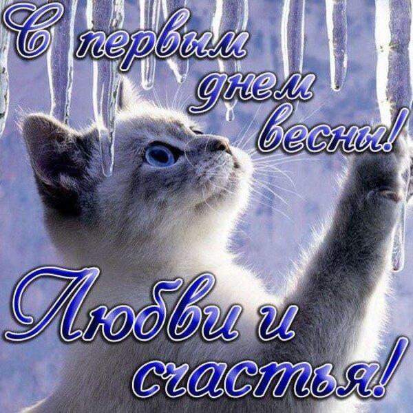 Фото С Днем кошек: открытки и картинки к 1 марта 7 - Сиб.ФМ Фото С Днем кошек: открытки и картинки к 1 марта 7