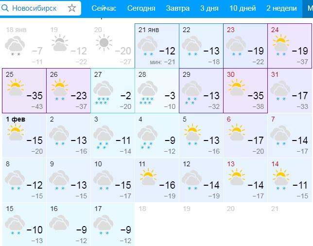 Погода нгс новосибирск на месяц