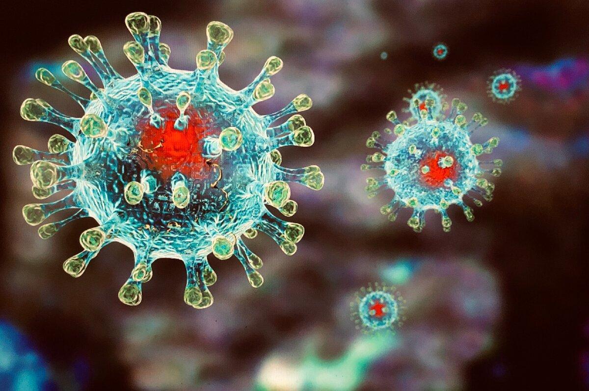 Фото Коронавирус в мире: последние новости о COVID-19 к 15 января – расследование ВОЗ в Китае, новые мутации в США и более 20 смертей после прививки 4