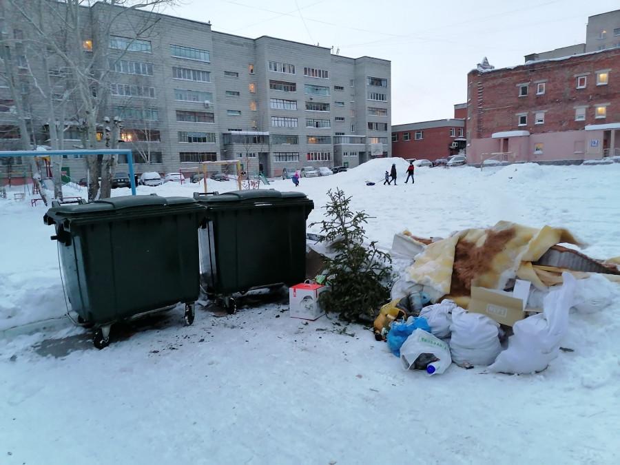 Фото Выселяют на помойку: новосибирцы начали избавляться от новогодних ёлок 2