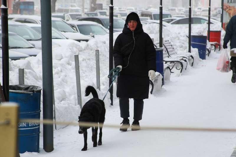 Фото «Дубак адский»: 10 леденящих кровь фото с улиц Новосибирска 8