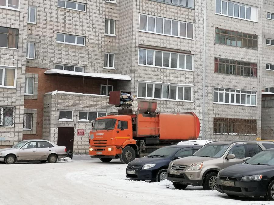 Фото Обязательный распил: перевозчики мусора в Новосибирске рассказали, как правильно выкидывать ёлки 2