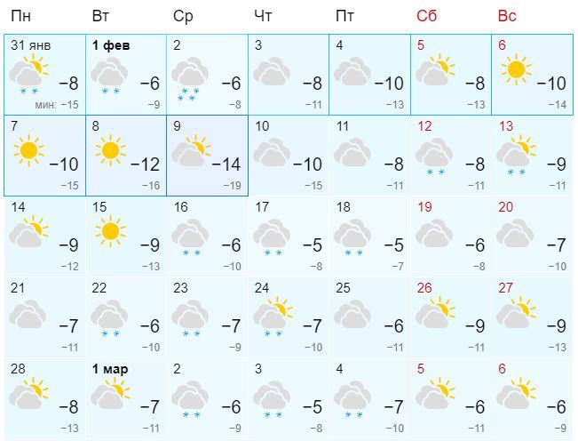Прогноз погоды на февраль благовещенск