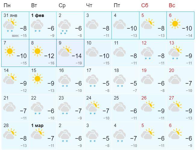 Новосибирск прогноз на февраль