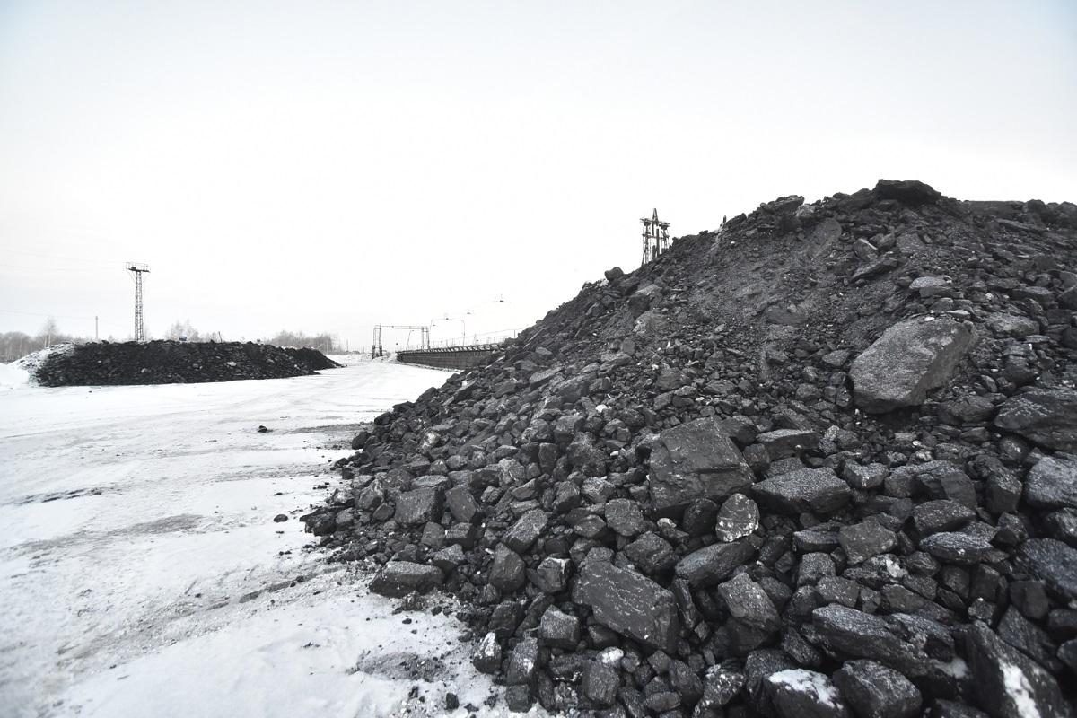 Фото Андрей Травников: снабжение жителей Новосибирской области углём проводится по намеченному плану 2