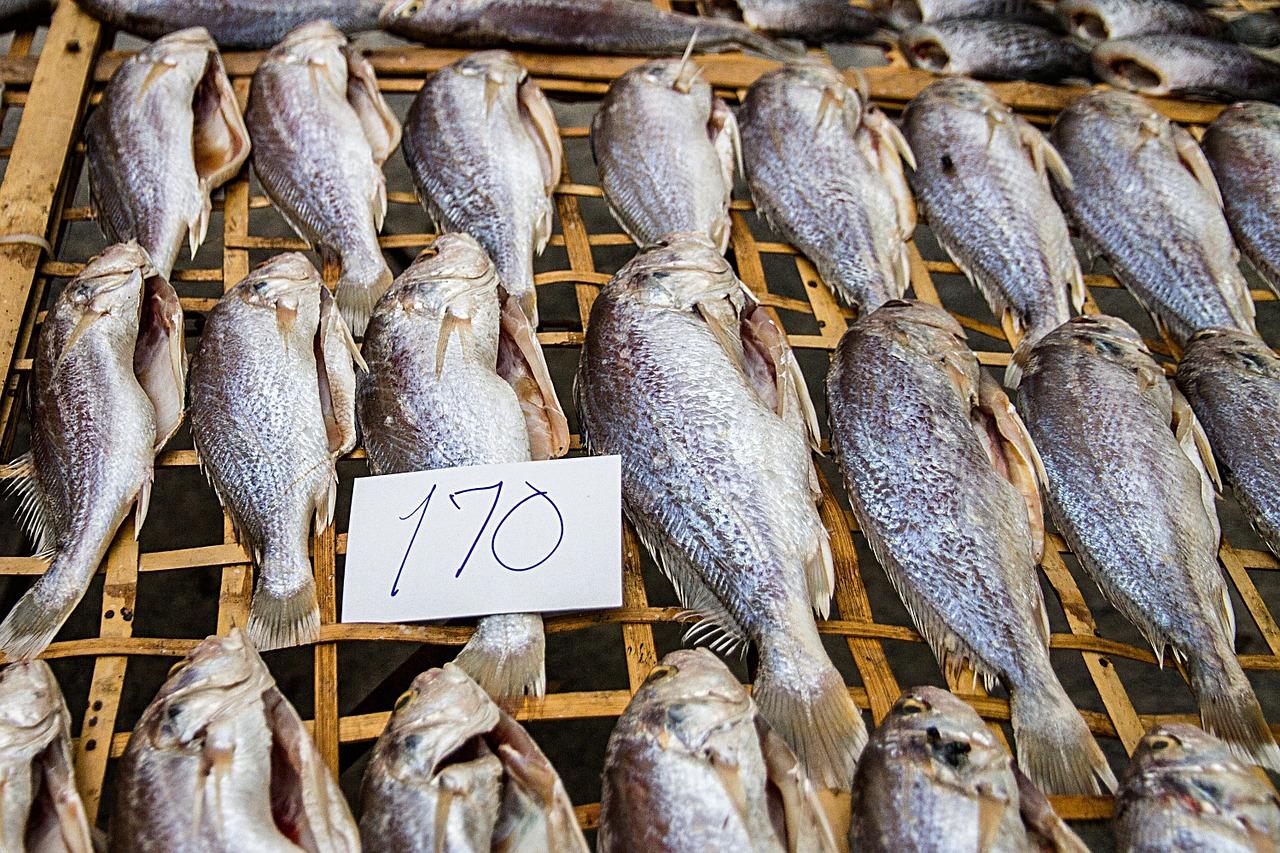 Фото Провоцирует рак: врач рассказал, какая рыба вызывает онкологию 2