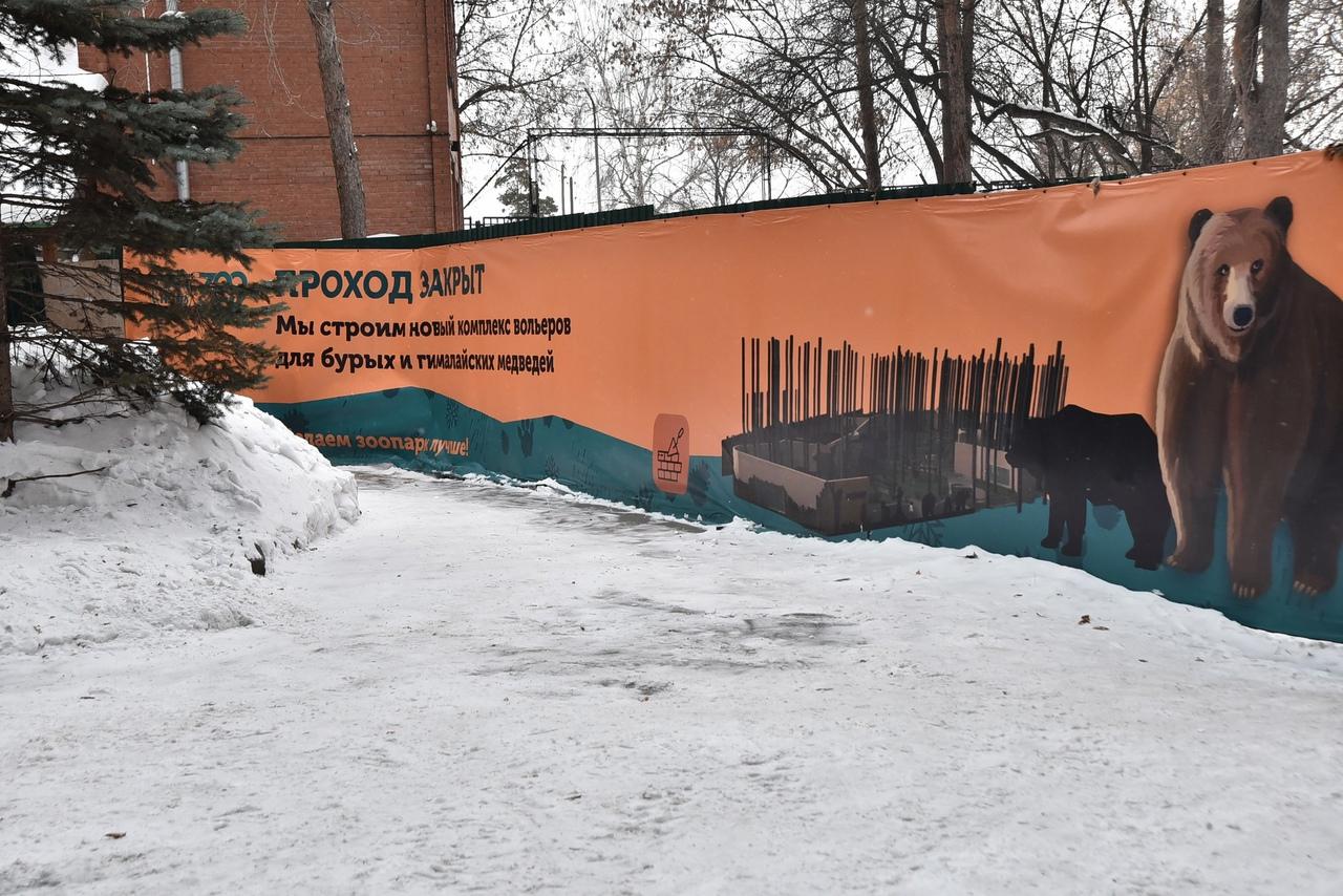 Фото В Новосибирском зоопарке появится «киноберлога» для школьников 2