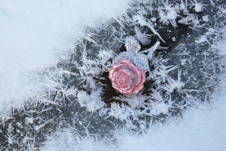 Фото Обвал холода: жителей Новосибирска предупредили об аномальных морозах в январе 2023 2