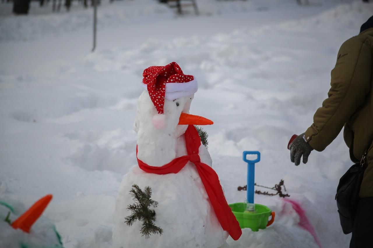 Фото В Новосибирске 2 января начался фестиваль Снежных баб — 10 лучших фото с открытия 6