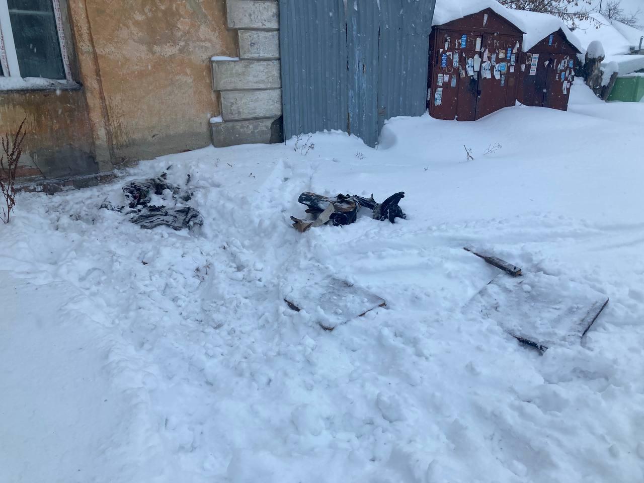 Фото Появились подробности гибели мужчины и кошек на пожаре в Новосибирске 5