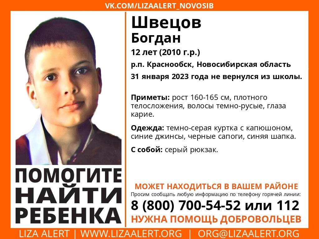 Фото Стали известны подробности пропажи 12-летнего школьника под Новосибирском 2
