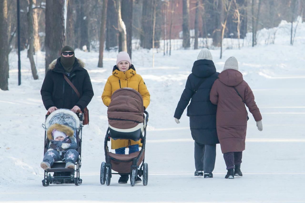 Фото Как похорошел Заельцовский парк — фоторепортаж 2