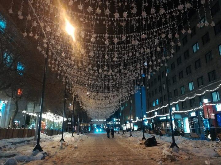 Фото В Новосибирске демонтирую новогодние украшения - фото 5