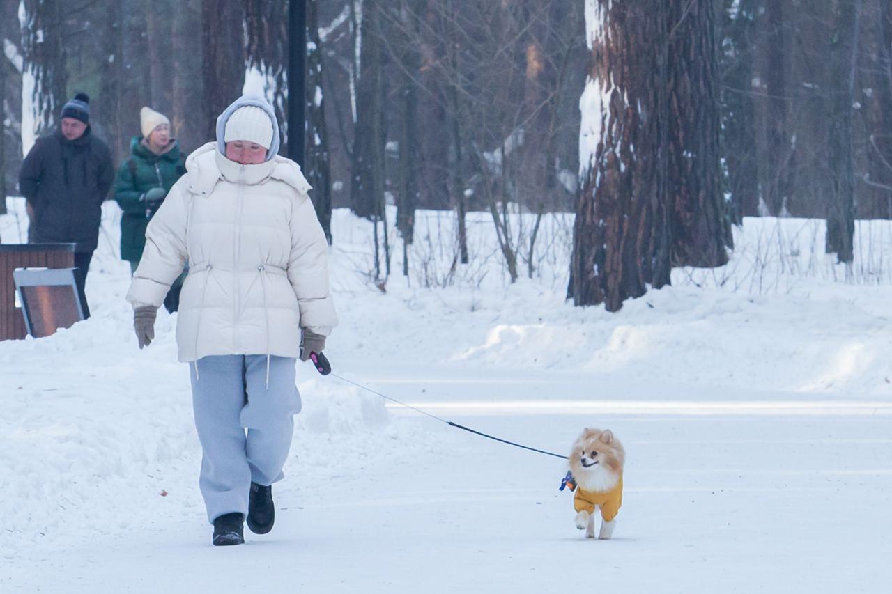 Фото Как похорошел Заельцовский парк — фоторепортаж 6