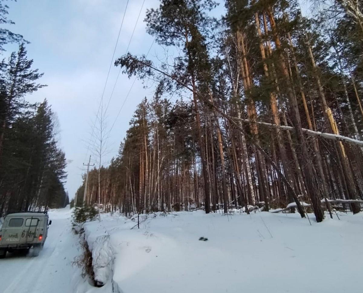 Фото Более 7 тысяч новосибирцев остались без электричества из-за штормового ветра 2