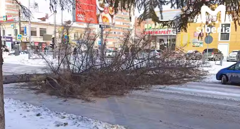 Фото Появились фото разрушений в Новосибирской области из-за мощного ветра и метели 3