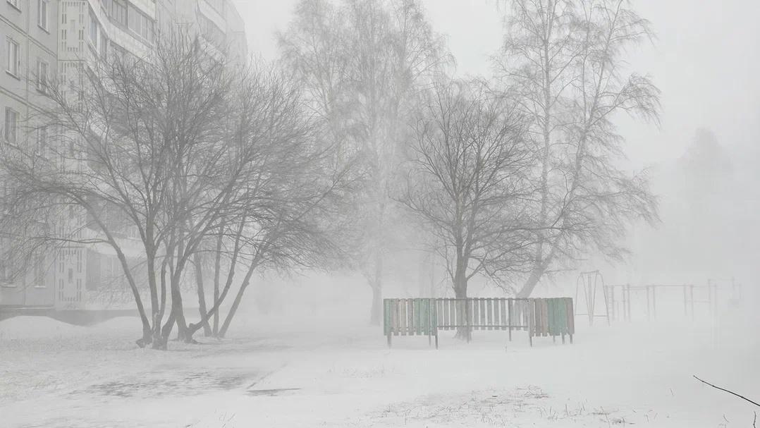 Фото Зимний шторм обрушился на Новосибирск. 10 фотоснимков жуткого снежного коллапса 2